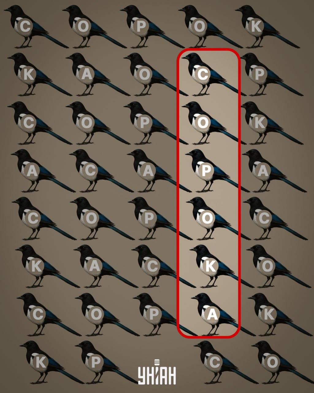 Колаж на Moje