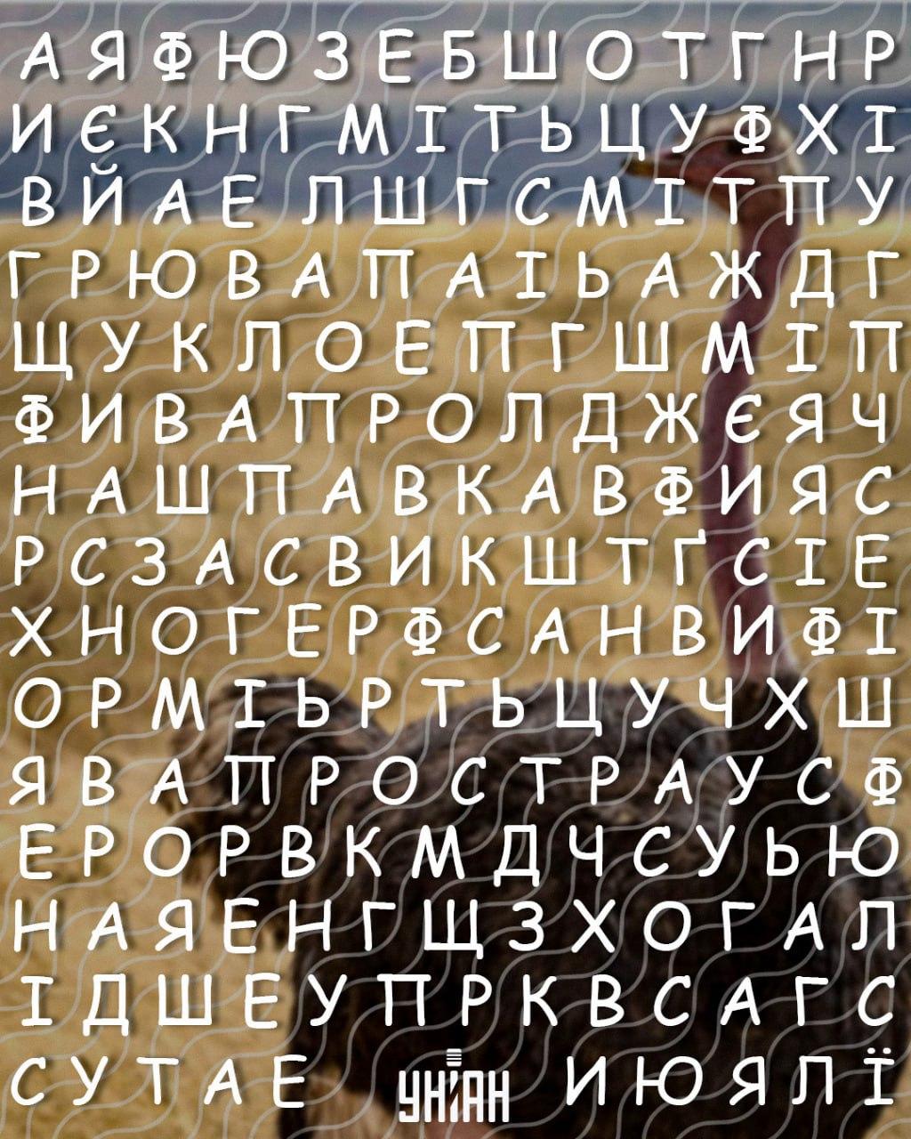 Само хора с висок коефициент на интелигентност могат да открият думата 