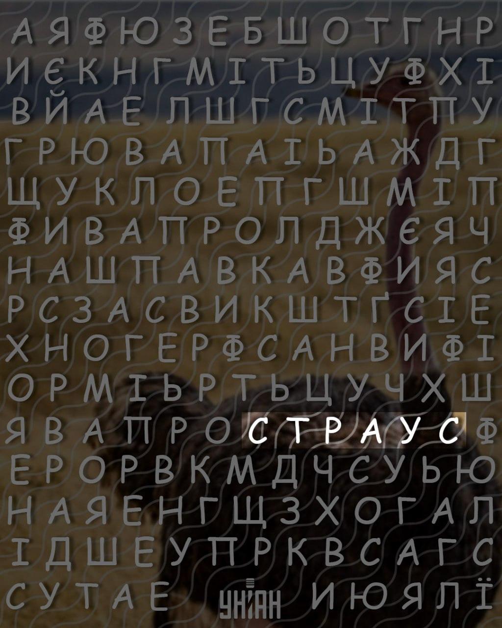 Само хора с висок коефициент на интелигентност могат да открият думата 