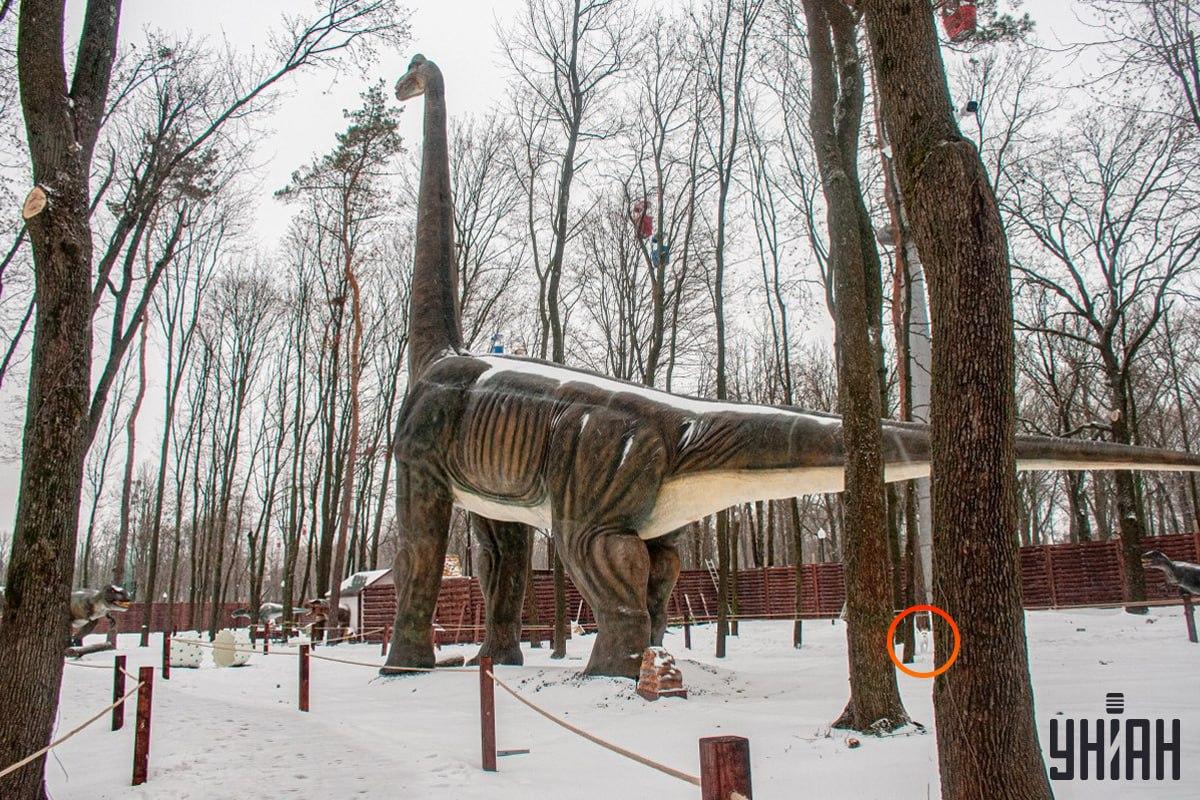 Кучето е близо до долния ляв ъгъл на снимката / колаж на УНИАН