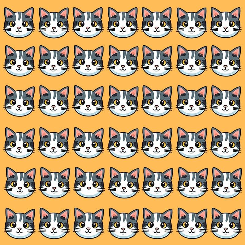 Тази оптична илюзия е възможна само за хора с грандиозен коефициент на интелигентност / Moje image