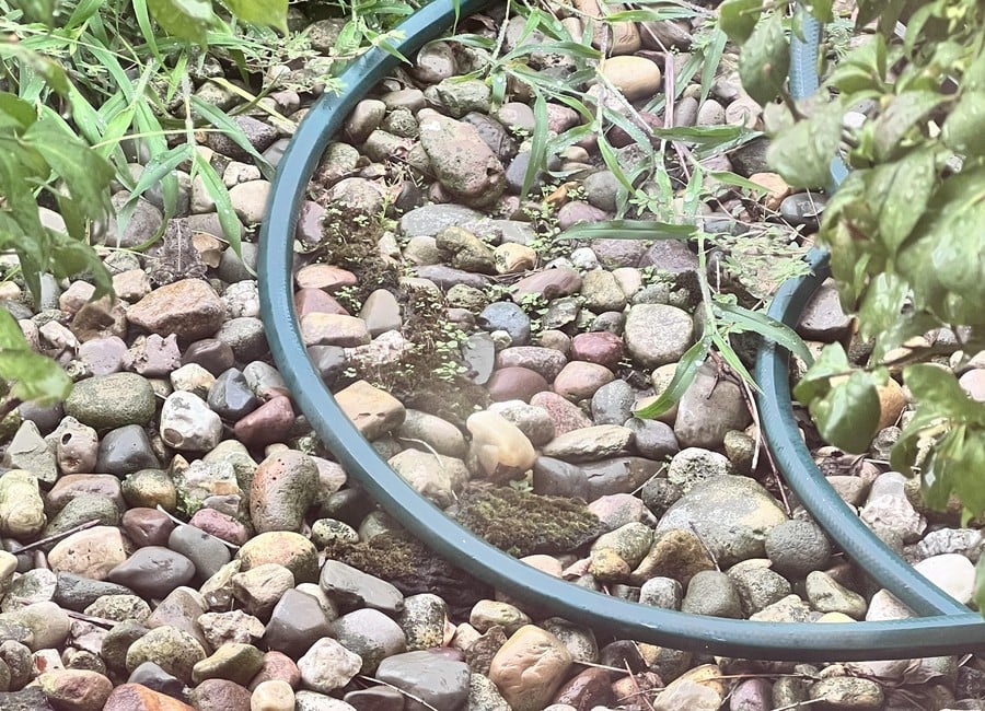 Оптична илюзия: открийте скритата жаба