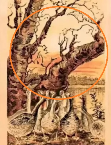 Оптична илюзия