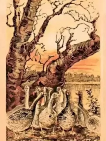 Оптична илюзия