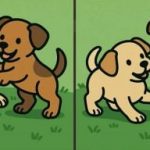 IQ тест: открийте 3 разлики в снимките на две кученца