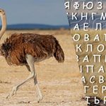 Само хора с висок коефициент на интелигентност ще открият думата